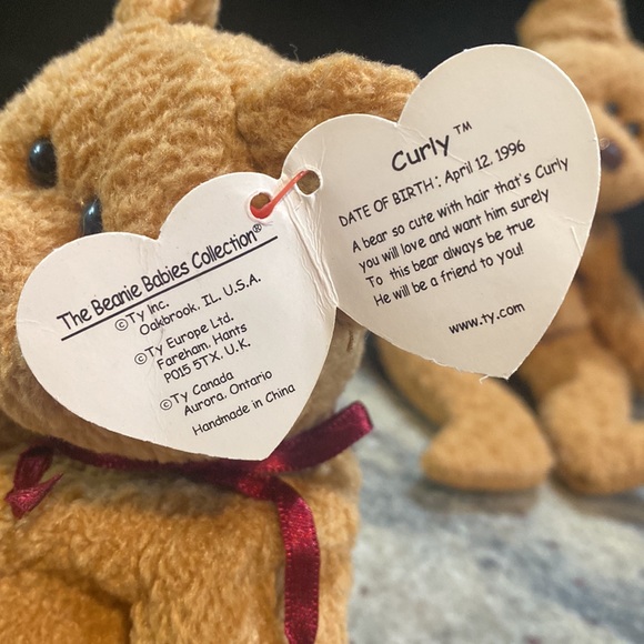 Curly bear - Picture 3 of 3